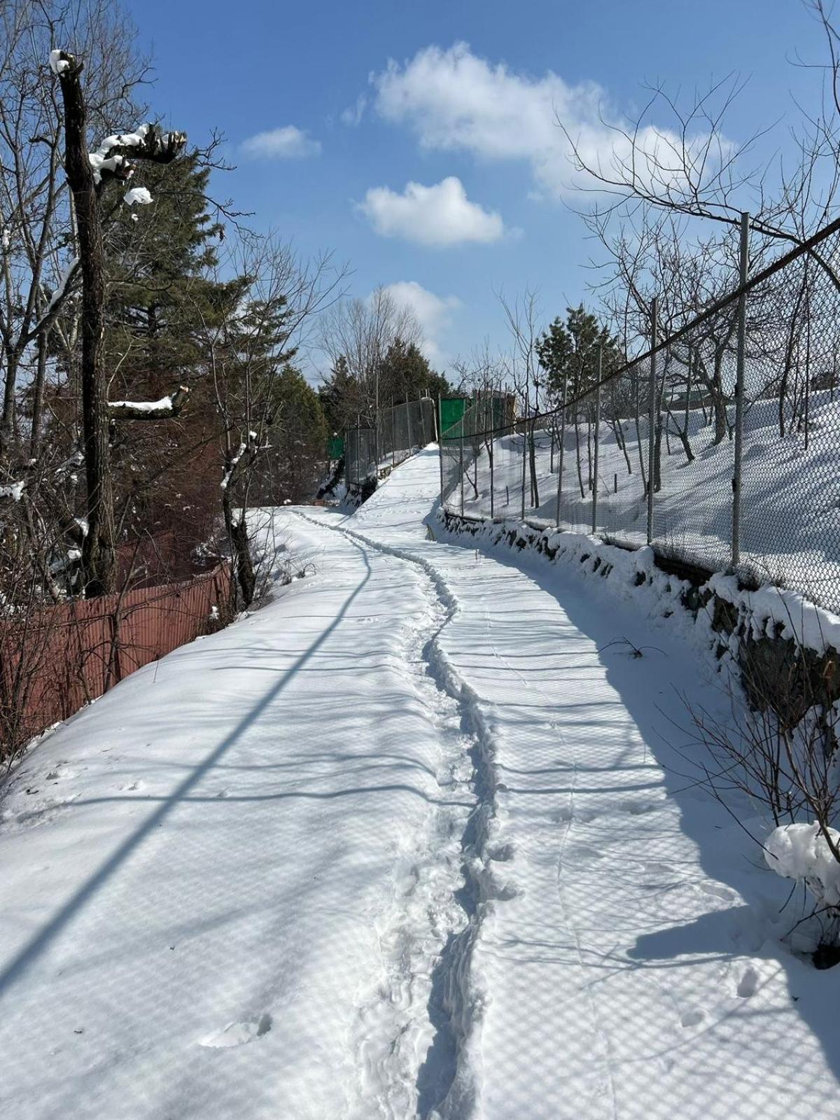Jk'S The Trout Stream Βίλα Γκουλμάργκ Εξωτερικό φωτογραφία